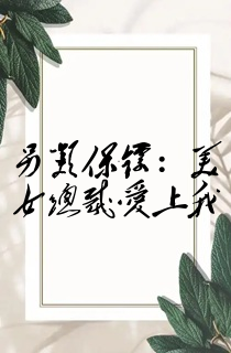 另类保镖:美女总裁爱上我