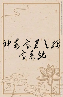 神奇宝贝之探宝系统