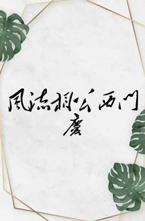 风流相公西门庆