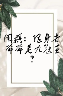 围棋:随身老爷爷是九冠王?