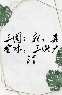 三国:我,真皇叔,三兴大汉