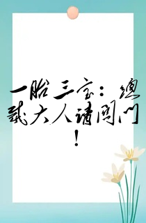 一胎三宝:总裁大人请关门!