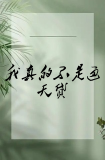 我真的不是通天贷