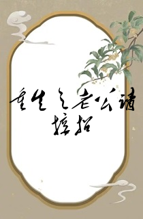 重生之老公请接招