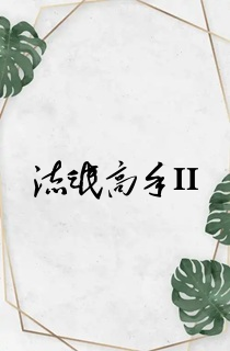 流氓高手II