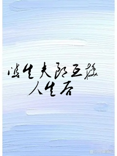 双生夫郎互换人生后