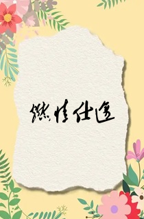 燃情仕途