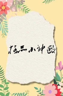 极品小神医