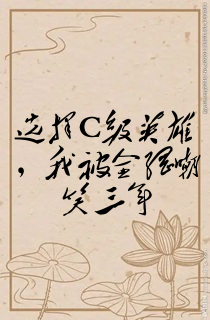 选择C级英雄,我被全网嘲笑三年