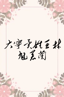 大宁异姓王林旭若兰