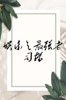 娱乐之最强老司机