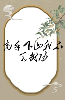 高手下山我不会武功