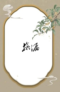捡漏