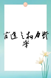 官途之权力巅峰