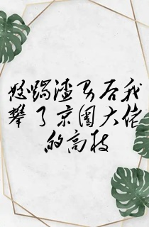 怒踹渣男后我攀了京圈大佬的高枝