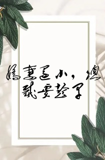 娇妻还小,总裁要趁早