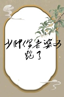 少帅你老婆又跑了