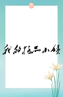 我的极品小姨
