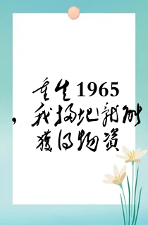 重生1965,我扫地就能获得物资