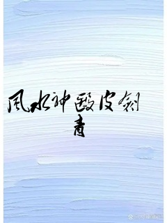 风水神医皮剑青