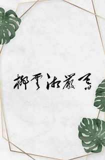 柳云湘严暮