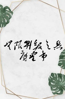 无限升级之恶魔皇帝