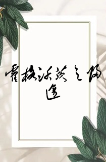 霍格沃茨之归途
