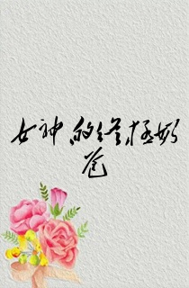 女神的终极奶爸