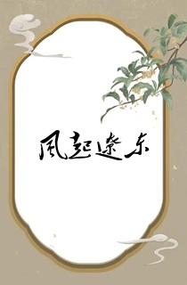 风起辽东