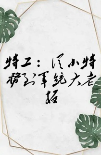 特工:从小特务到军统大老板
