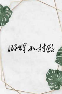 乡野小村医