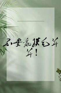 不要乱摸毛茸茸!